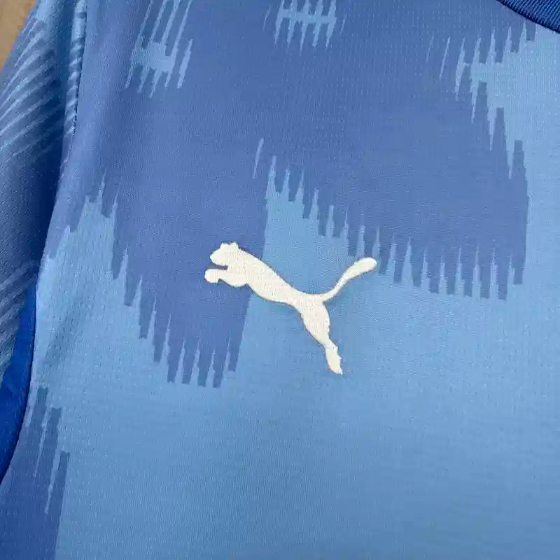 2026 World Cup Austria Third Kit