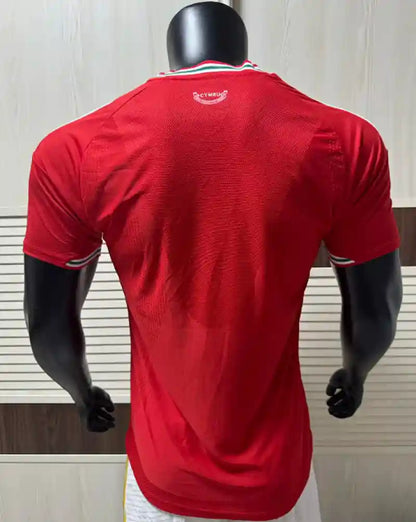 2026 World Cup Wales Home Kit