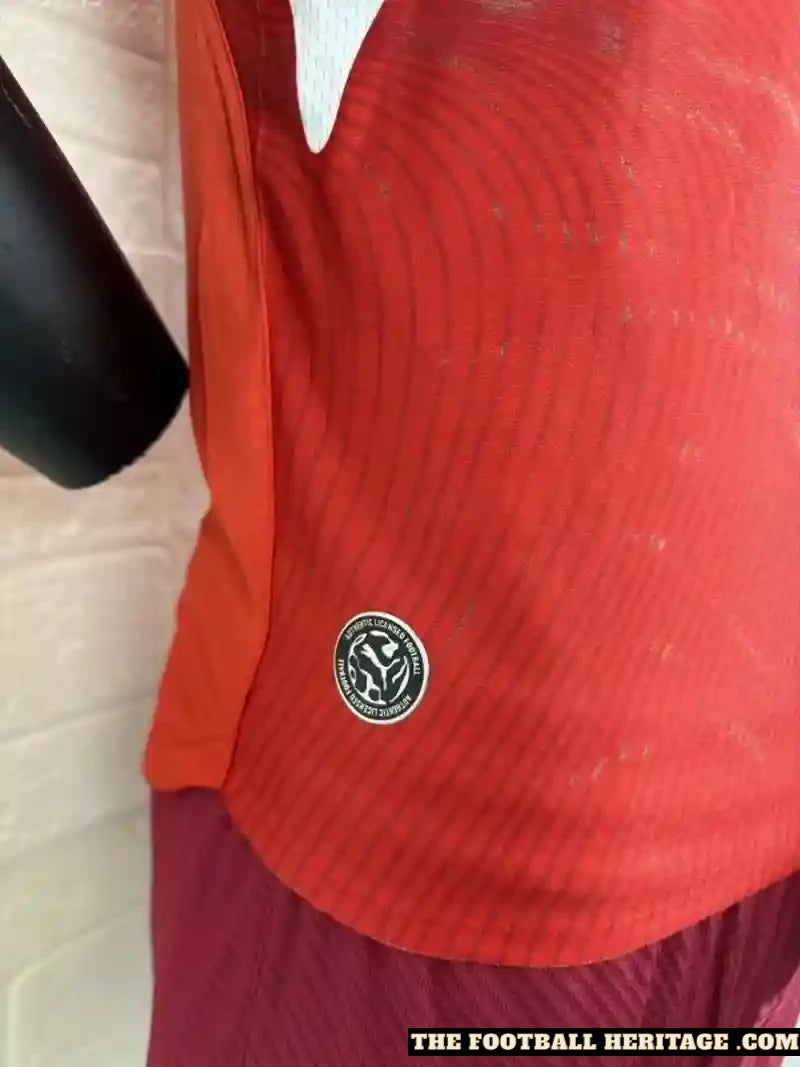 Switzerland 2026 World Cup Home Kit – Player Version image 3