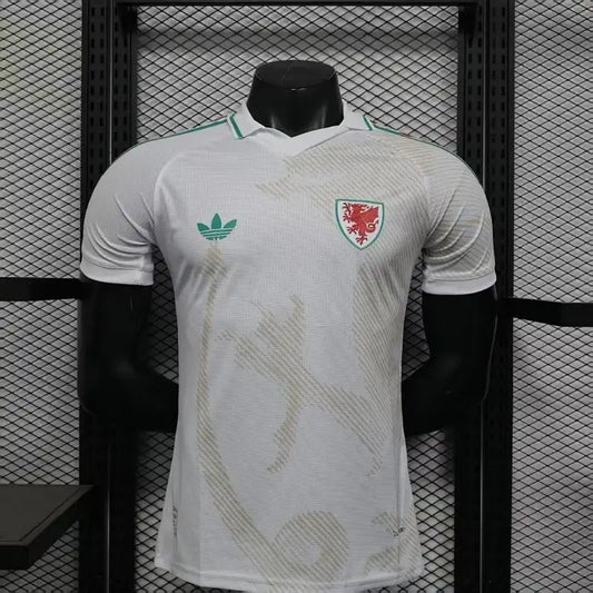 2026 World Cup Wales Away Kit image 0