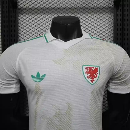 2026 World Cup Wales Away Kit image 1