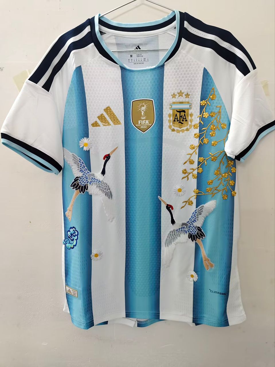 2026 World Cup Argentina Embroidery Kit