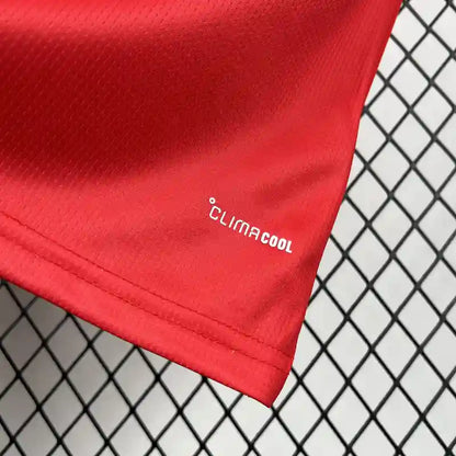 World Cup 2026 Wales Home Kit