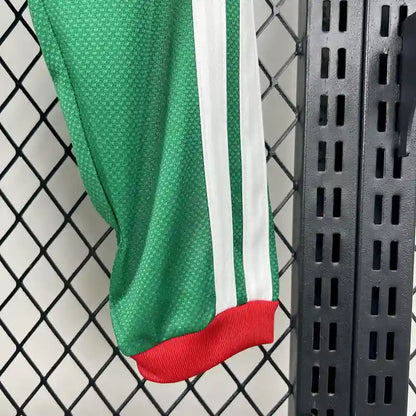 2026 World Cup Mexico Away kit Long Sleeves