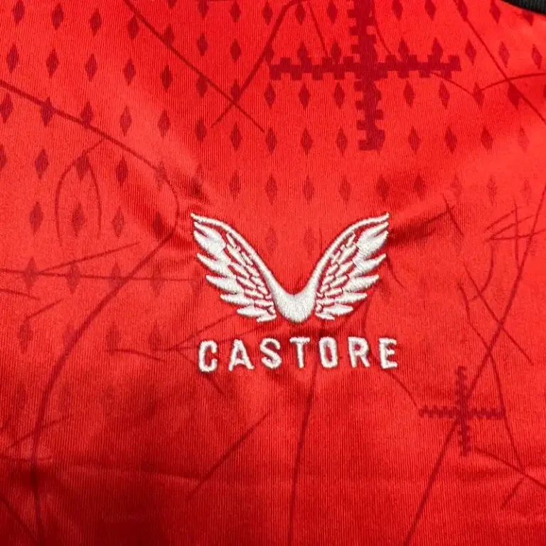 Bayer Leverkusen 24/25 Home Kit – Fan Version - Image 4