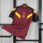 AS Roma 24/25 Special Jersey – Fan version